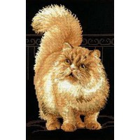 "Персидский кот" "Персидский кот"