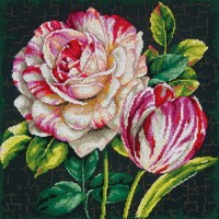 "Тюльпан и роза(Tulip Drama)"