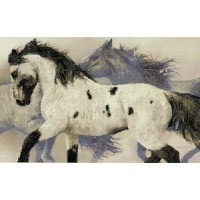 "Дикие лошади" "Дикие лошади"