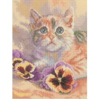 "Кошачьи грезы" "Кошачьи грезы"
